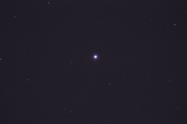 0.6�ܥ�ǥ塼�����ƥ���ED10310��